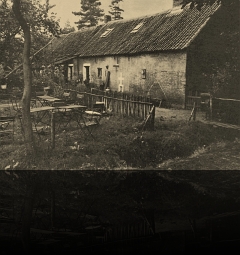 Zoersel Boshuisje terras